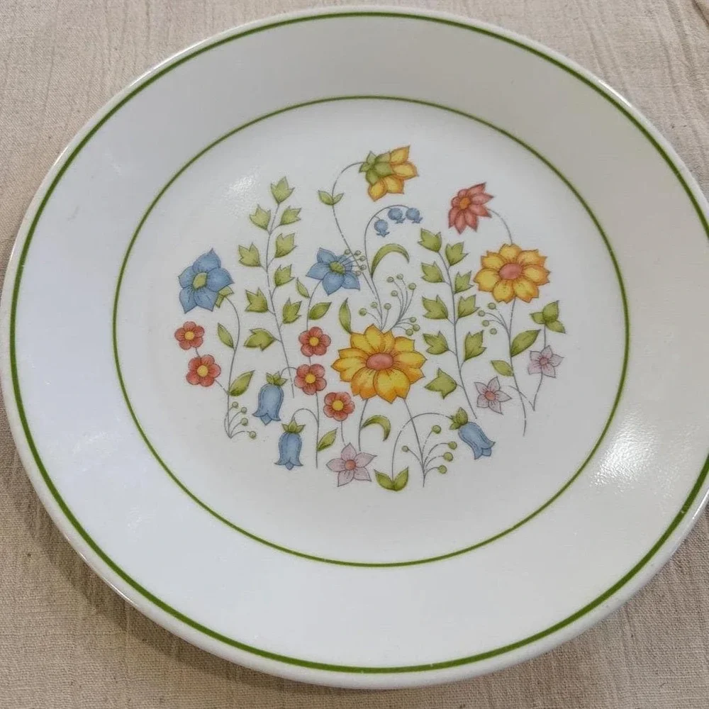 Corelle Meadow Dinner Plate 10.25